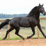 Juarez Interagro/Photo TUPA