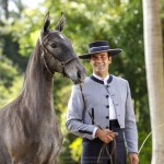 Naive Interagro- potra oferecida no XVII Leilão de Potros Interagro/TUPA