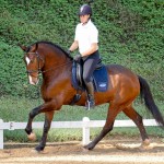 Alexandre Souza & Hectar Interagro/Interagro Lusitanos