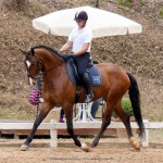 Alexandre Souza & Hectar Interagro