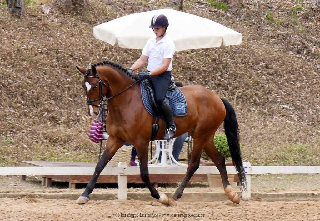 Alexandre Souza & Hectar Interagro