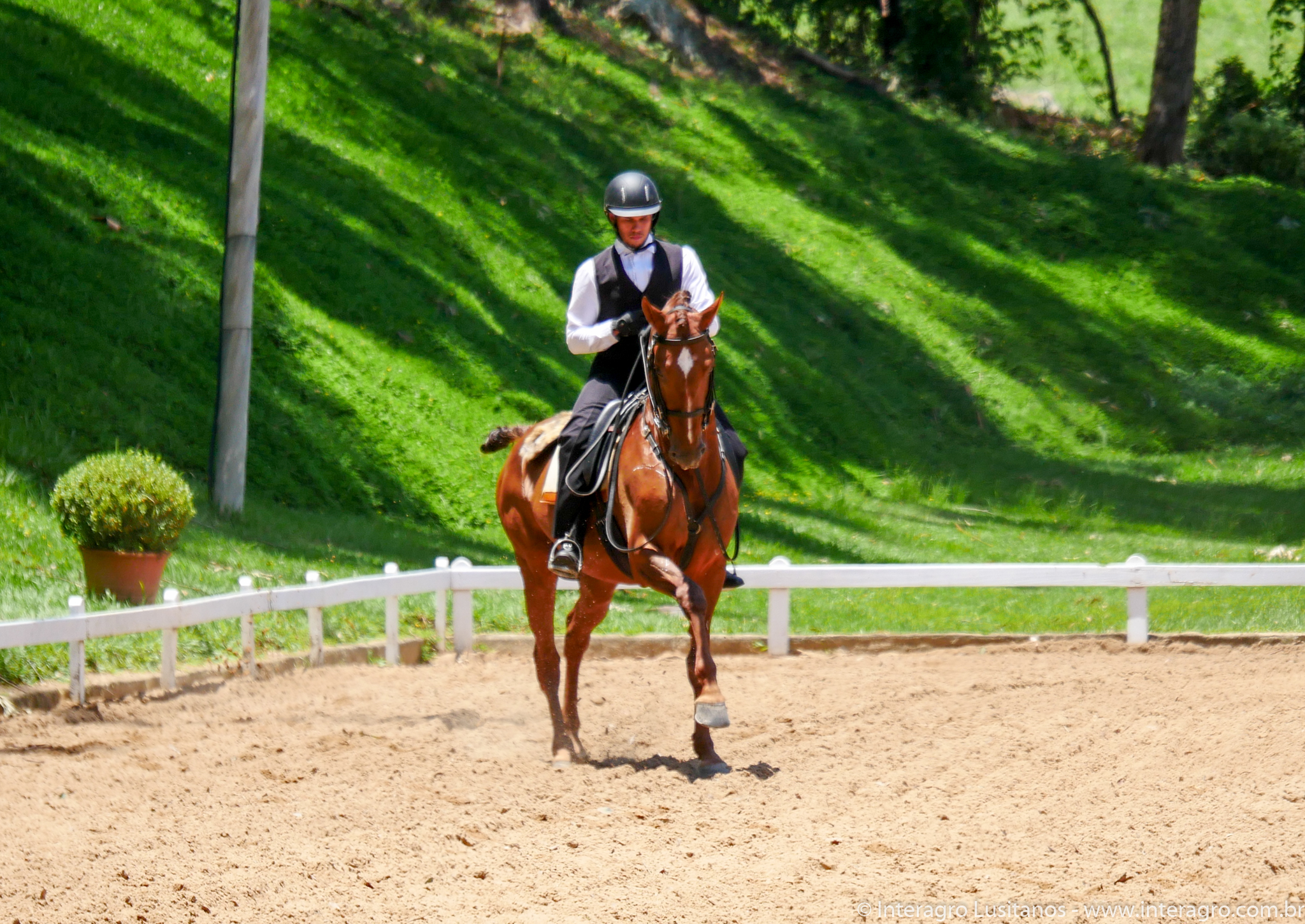Jellicoe Interagro/Interagro Lusitanos