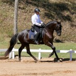 Lavagante Interagro & Edmar Brito, 1o lugar Série Preliminar/Interagro Lusitanos