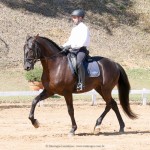 Lavagante Interagro & Edmar Brito, 1o lugar Série Preliminar/Interagro Lusitanos