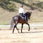 Lavagante Interagro & Edmar Brito, 1o lugar Série Preliminar/Interagro Lusitanos