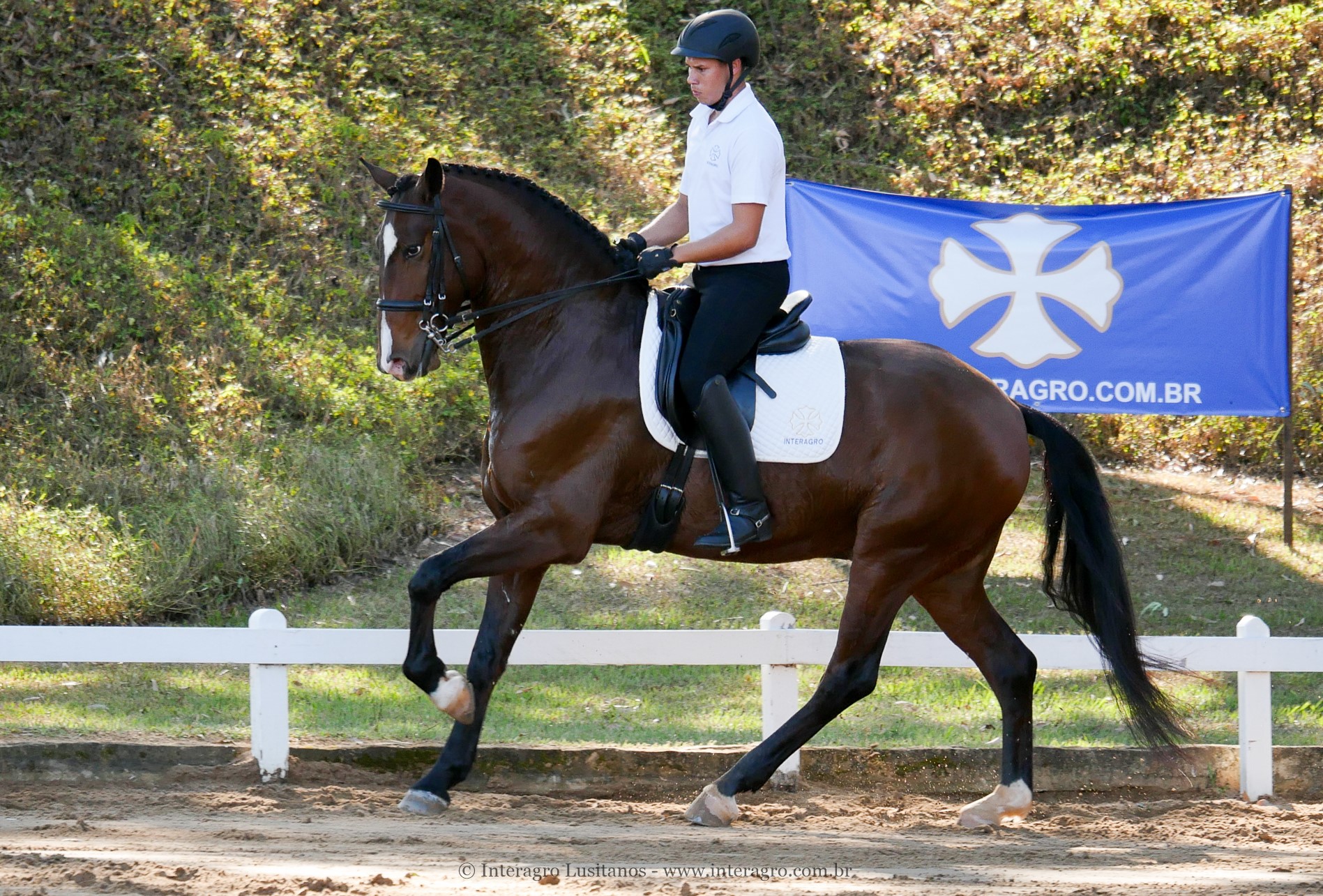 Alexandre Souza & Hectar Interagro