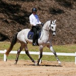 Edmar Brito & Matreiro Interagro/Foto Interagro Lusitanos