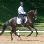 Lavagante Interagro, garanhão castanho Puro Sangue Lusitano/Martina Brandes