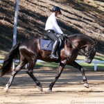 Edmar Brito & Lavagante Interagro/Foto Interagro Lusitanos