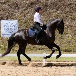 Taís Brito & Lavagante Interagro/Foto Interagro Lusitanos