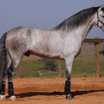 Orville Interagro/TUPA