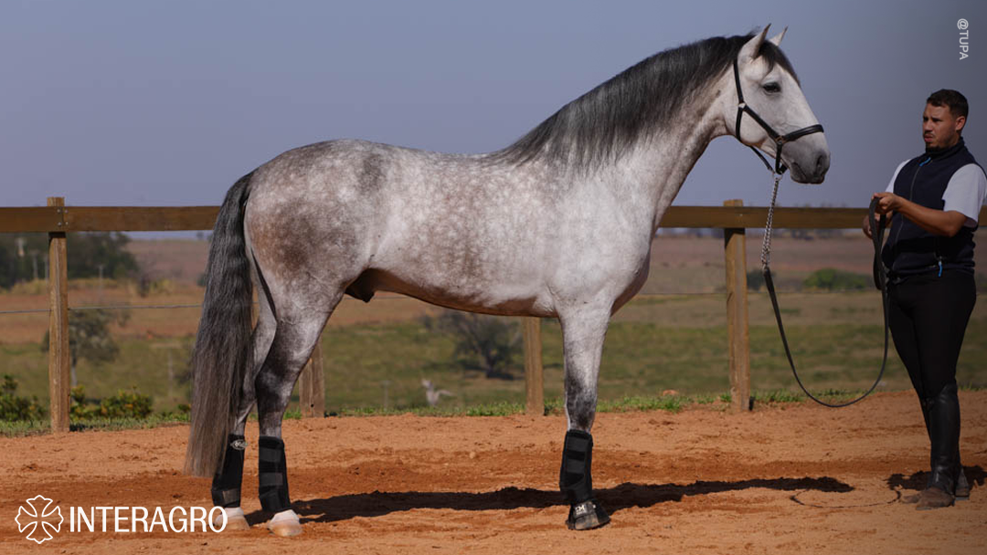 Orville Interagro/TUPA