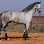 Orville Interagro/TUPA