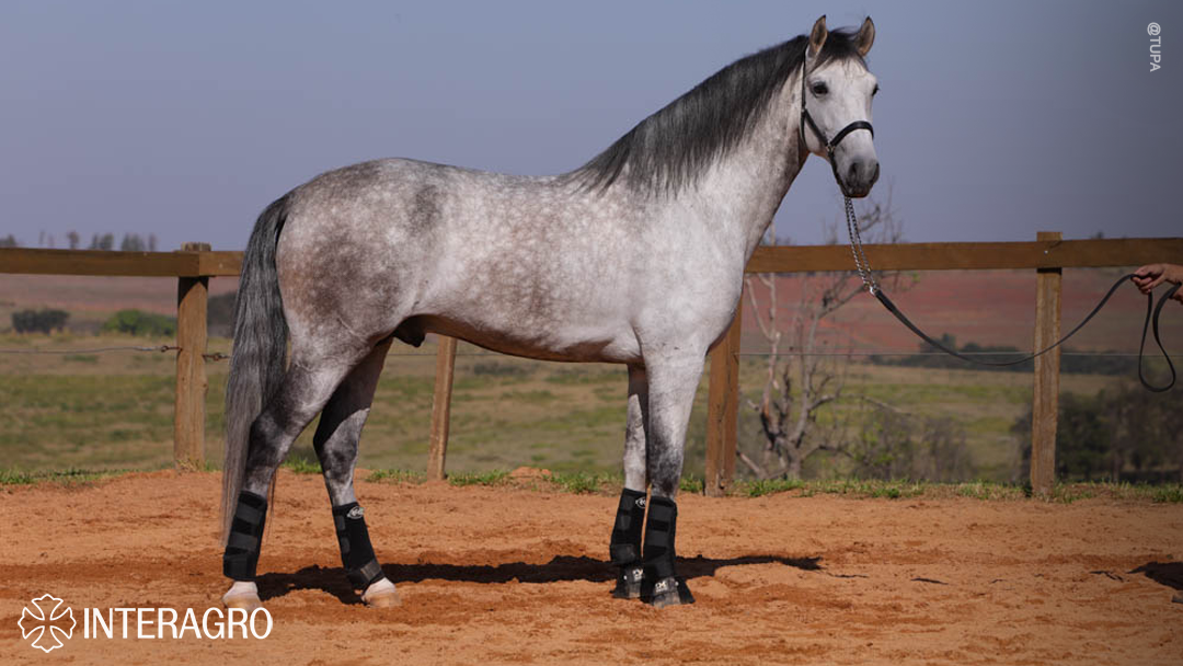 Orville Interagro/TUPA