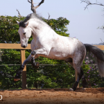 Orville Interagro/TUPA