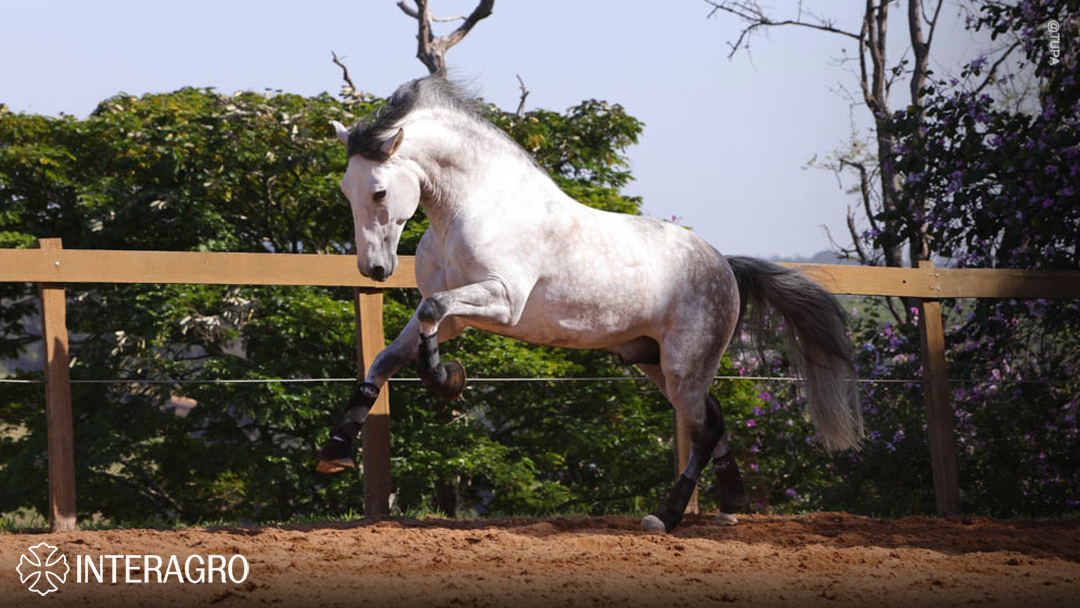 Orville Interagro/TUPA