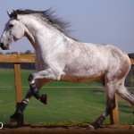 Orville Interagro/TUPA