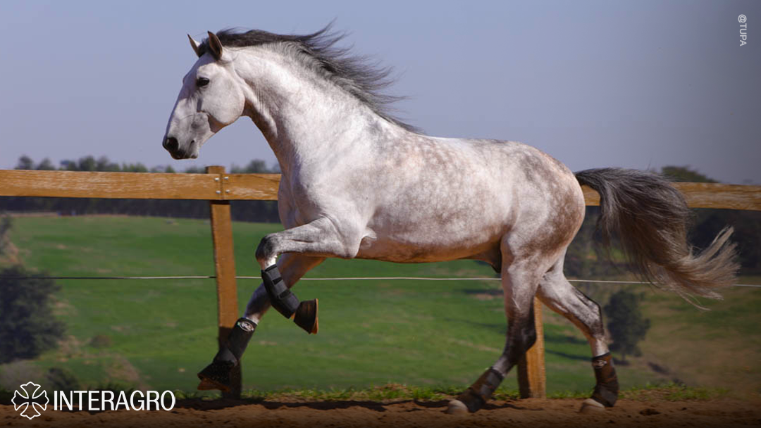 Orville Interagro/TUPA