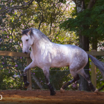 Orville Interagro/TUPA