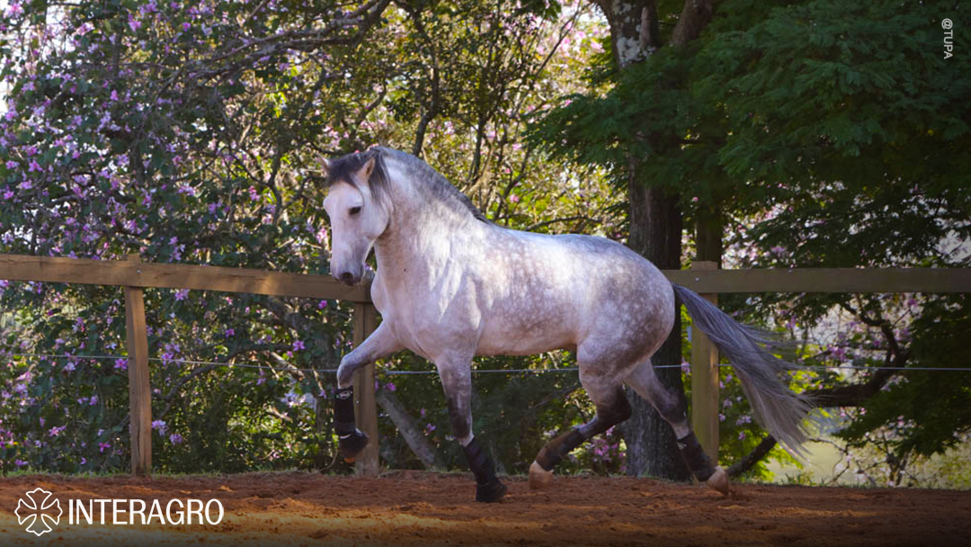 Orville Interagro/TUPA