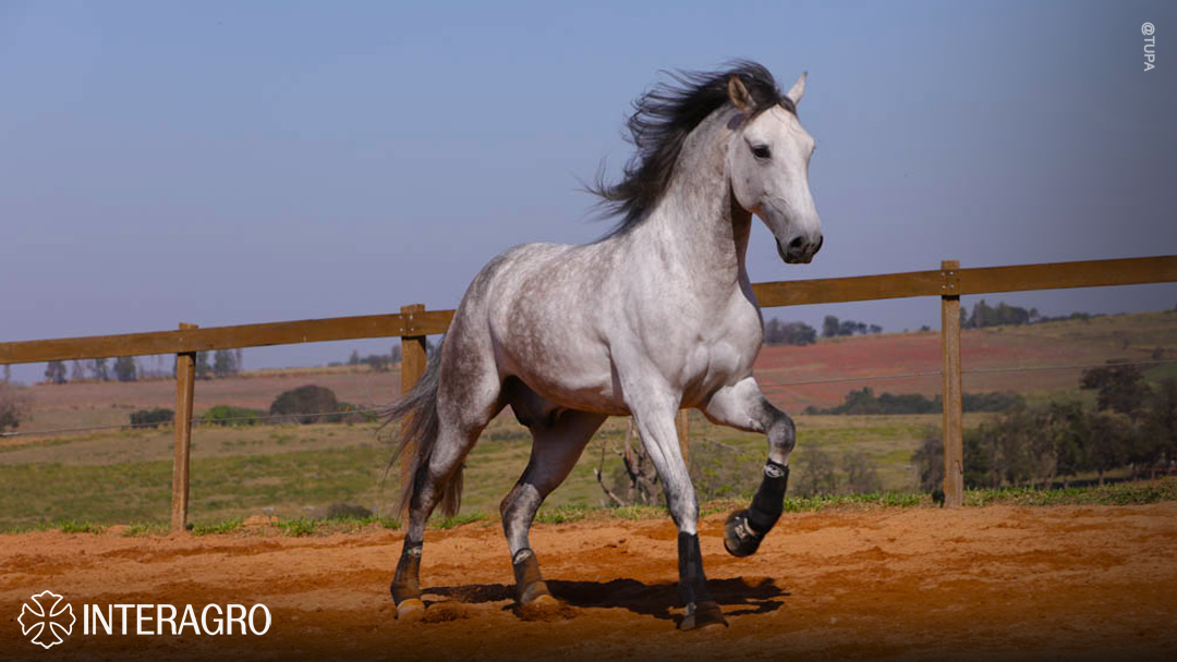 Orville Interagro/TUPA