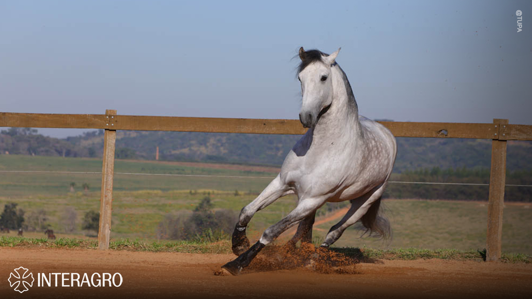 Orville Interagro/TUPA