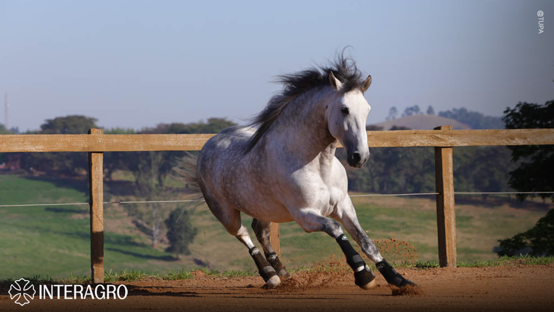 Orville Interagro/TUPA