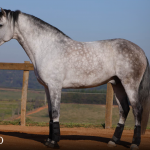 Orville Interagro/TUPA