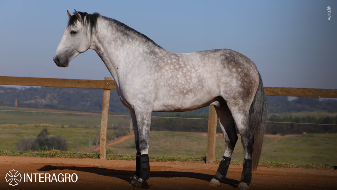 Orville Interagro/TUPA