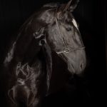 Oscar Interagro/Renata Cerqueira