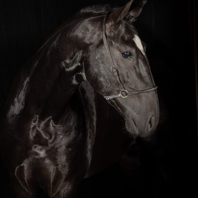 Oscar Interagro/Renata Cerqueira