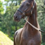 Osmond Interagro/TUPA