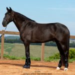 Osmond Interagro/TUPA