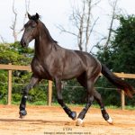 Osmond Interagro/TUPA