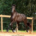 Osmond Interagro/TUPA