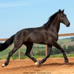 Osmond Interagro/TUPA