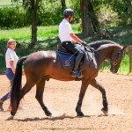 Osmond Interagro/Interagro Lusitanos