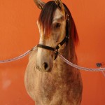 Quico Interagro/Interagro Lusitanos