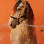 Quico Interagro/Interagro Lusitanos