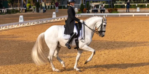 Adestramento Brasil: CPA tem Joana Sliwik/Intef Interagro, Fabio Lombardo Junior/ Mágico Interagro e Paulo Cesar/Magnífico da Sasa JE campeões em small, medium e big tours