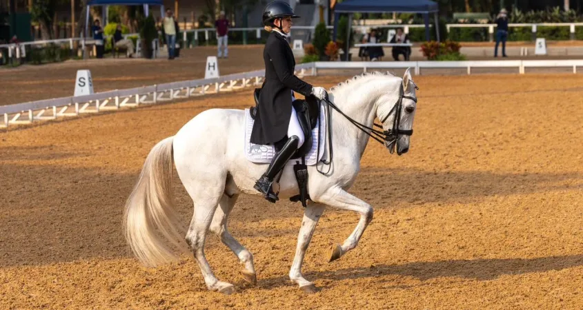 Adestramento Brasil: CPA tem Joana Sliwik/Intef Interagro, Fabio Lombardo Junior/ Mágico Interagro e Paulo Cesar/Magnífico da Sasa JE campeões em small, medium e big tours